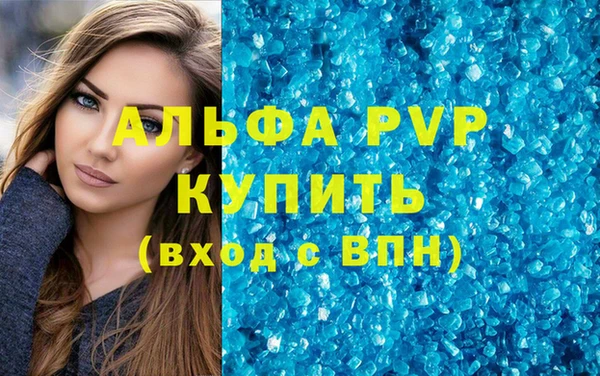СК Куйбышев
