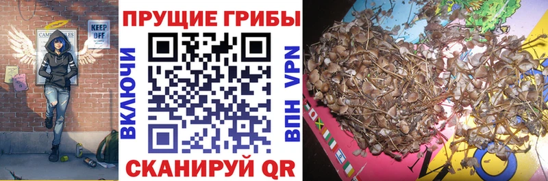 Купить закладки  Верхняя Салда  Галлюциногенные грибы ЛСД 